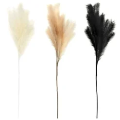 B&M Pampas Stem - Black -Comfort Home Store 372800 395541 394382 pamas stem group