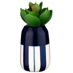B&M Small Succulent -Comfort Home Store 380107 small succulent 5