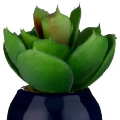 B&M Small Succulent -Comfort Home Store 380107 small succulent 6
